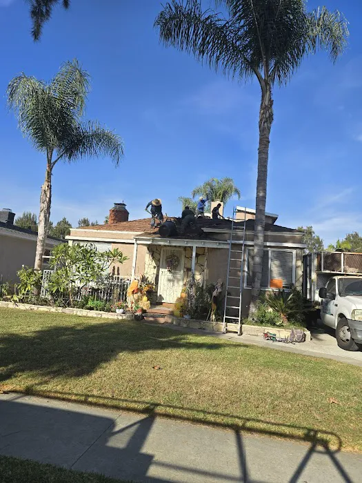 Silver Vera Roofing Picture 3