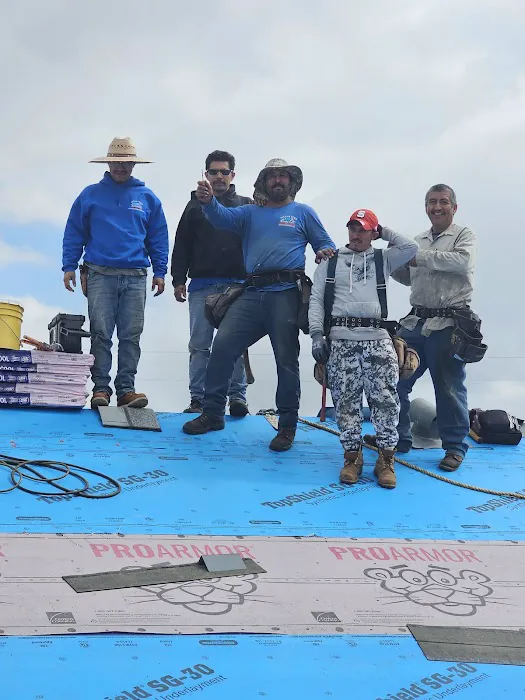 Silver Vera Roofing Picture 9