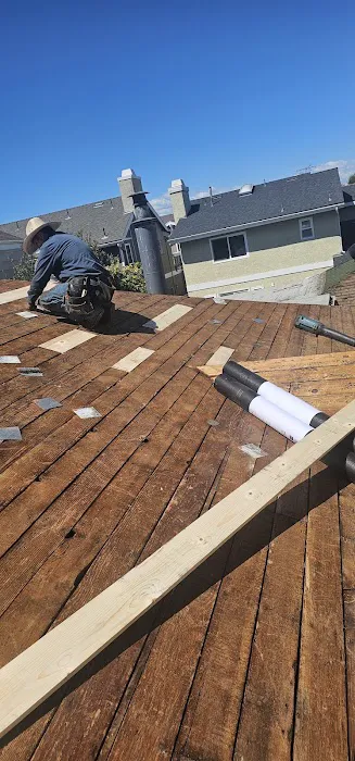 Silver Vera Roofing Picture 5