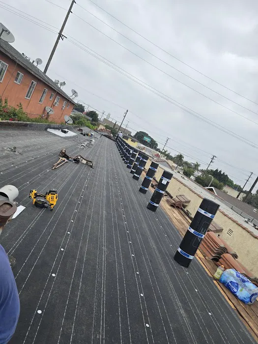 Silver Vera Roofing Picture 7