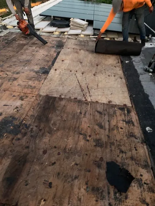 Den Roofers Picture 2