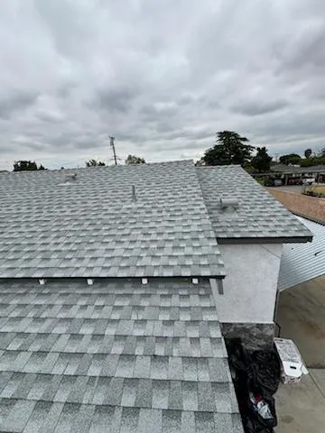 AMC Lions Roofing Picture 3