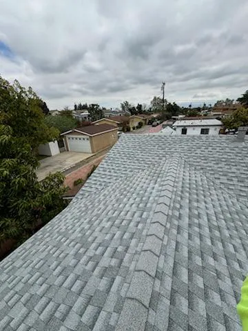 AMC Lions Roofing Picture 4