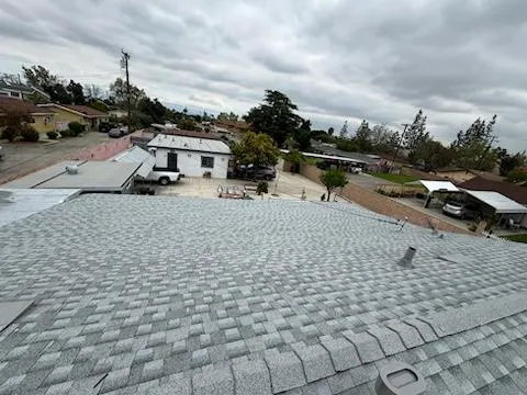 AMC Lions Roofing Picture 2