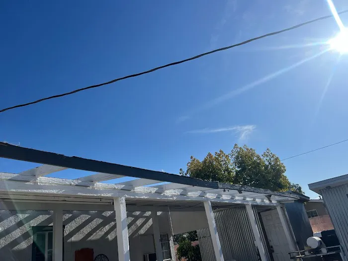 AMC Lions Roofing Picture 5