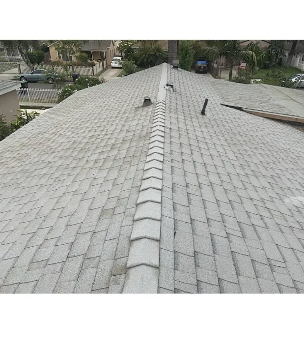 AMC Lions Roofing Picture 6