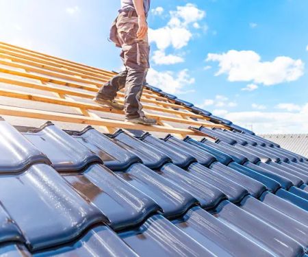 Shingle Guard Roofs
