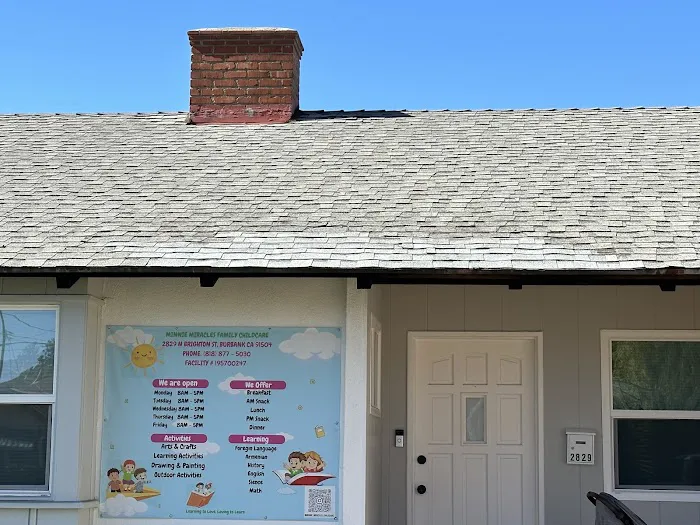 Lemon Roofing Picture 4