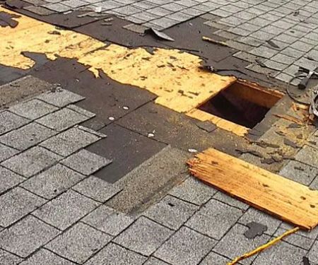 Thomas Parks Contracting