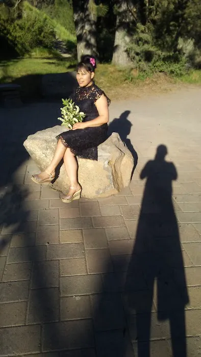 Roofers Expert Picture 5