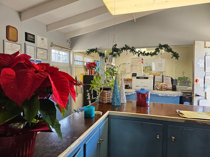 Supreme Roofing Co. Inc. Picture 8