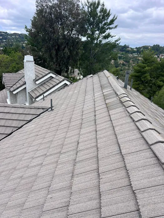 AAA Jack The Roofer Picture 6