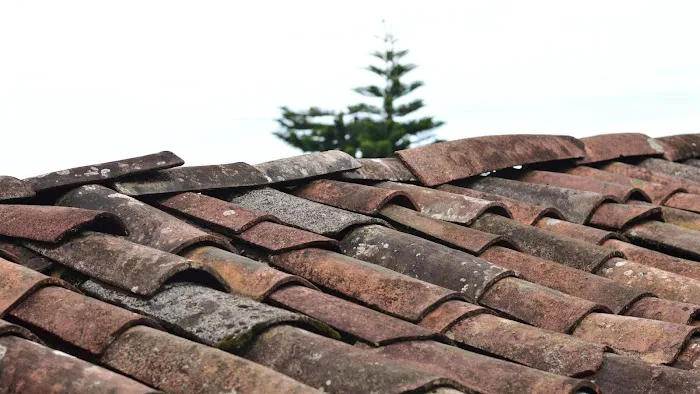 Team Zee System Ridge Roofing Picture 2