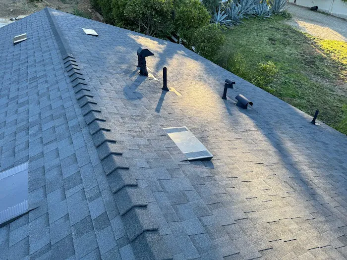 Arana Roofing Picture 3