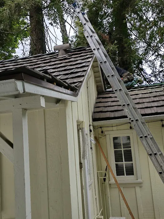 Sunny Roofing Picture 2