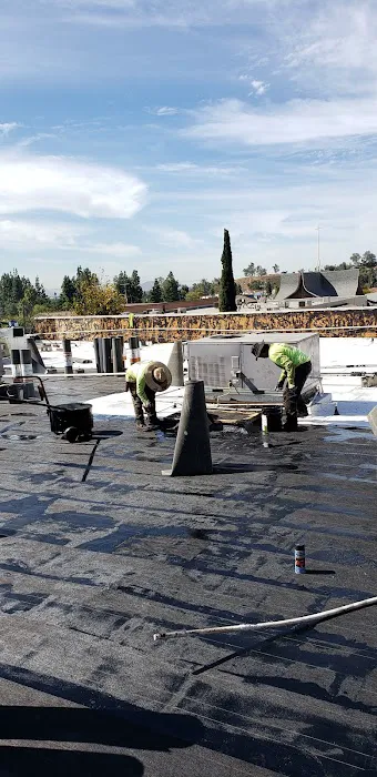 Sunny Roofing Picture 5