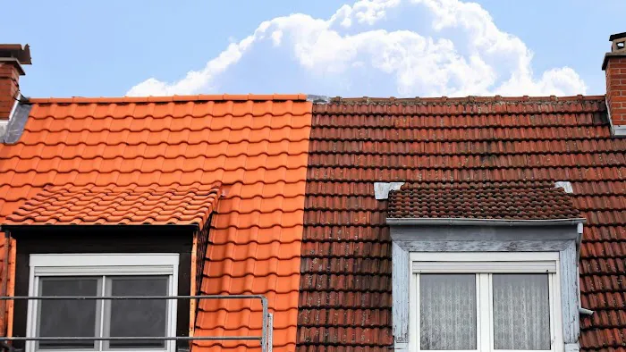 Soffit Shelter Roofing Contractor Picture 1