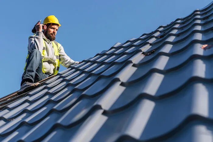 Shingle Guard Roofs Picture 3