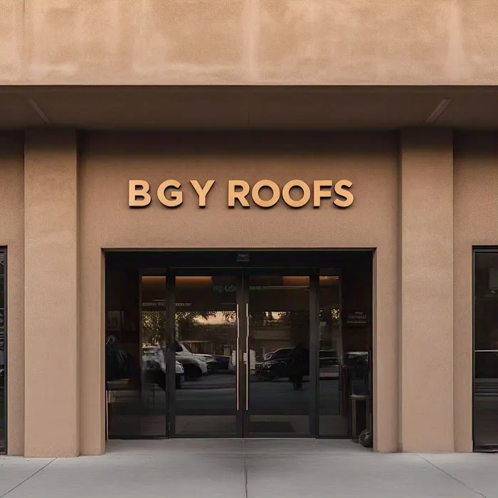 BGY roofs. Picture 4