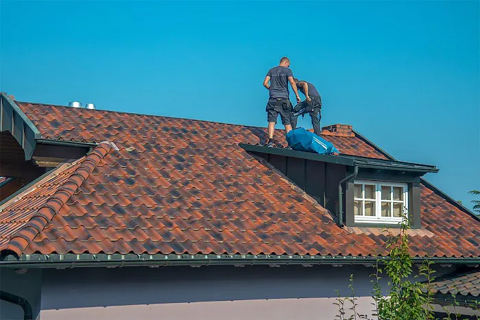 LARA'S ROOF Picture 2