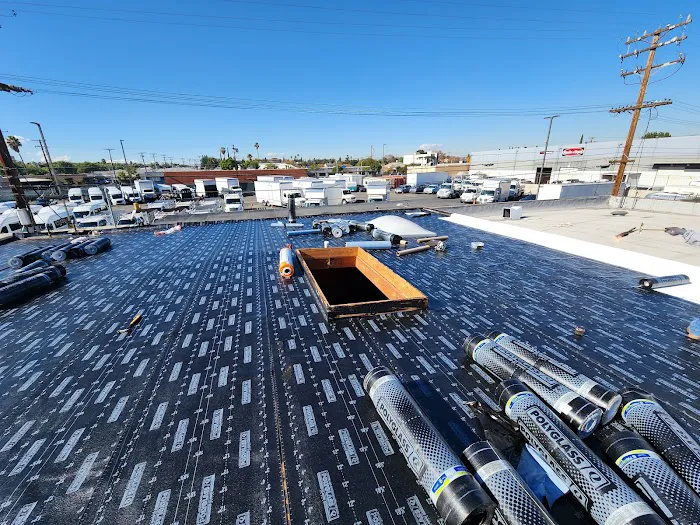 LARA'S ROOF Picture 3