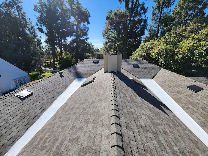 LARA'S ROOF Picture 1