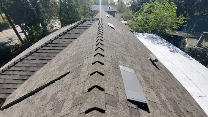 LARA'S ROOF Picture 7