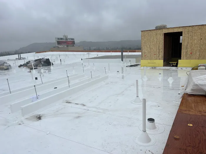 Morales Roofing Picture 1