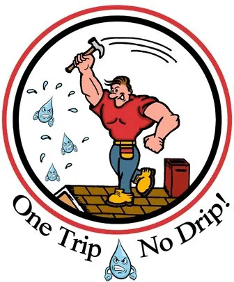 De Lorenzo's Guaranteed Roofing Picture 1