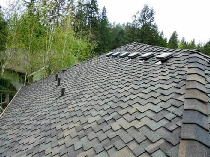 Los Angeles Composition Roofing Corp Picture 1