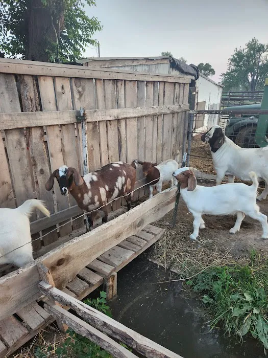 Overhead Roofing Inc - Pasadena Roofers Picture 2