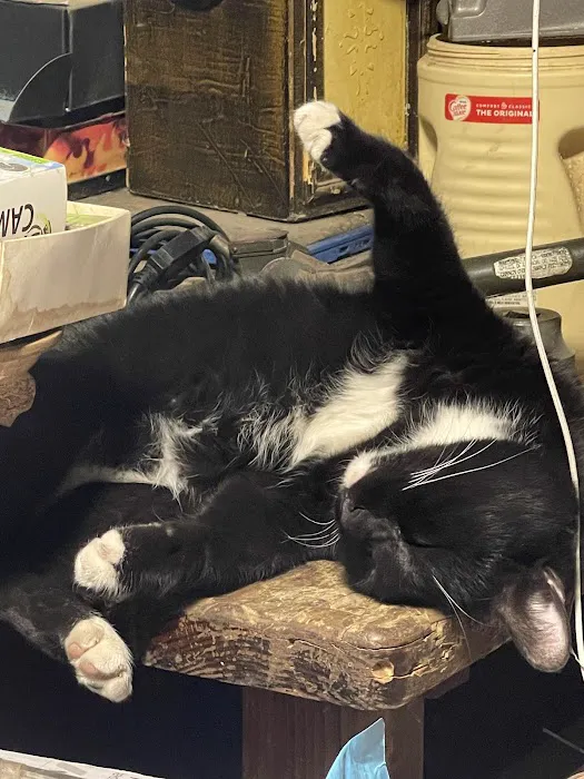 Overhead Roofing Inc - Pasadena Roofers Picture 10