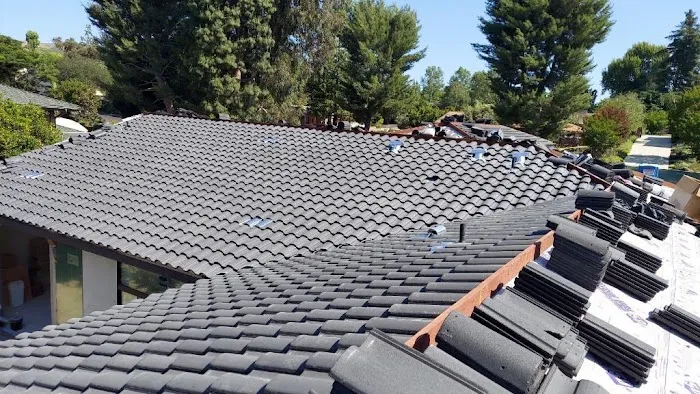 Green Ladder Roofing and Waterproofing Picture 2