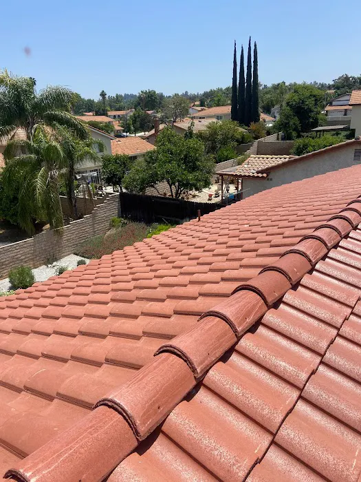 Green Ladder Roofing and Waterproofing Picture 1