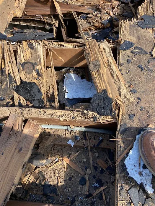 San Gabriel Incredible Roof Cleaning Picture 1