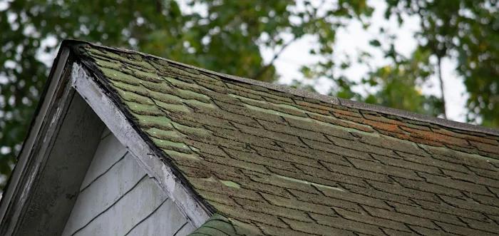 Terra Roofing Squad Picture 2