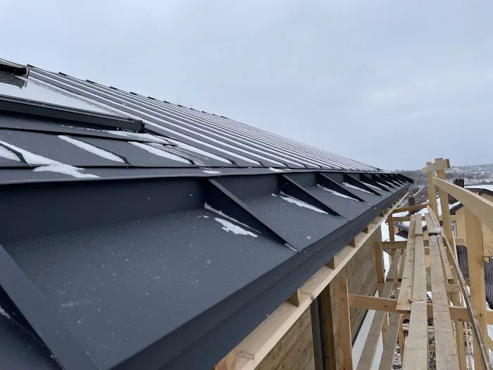 Terra Roofing Squad Picture 6