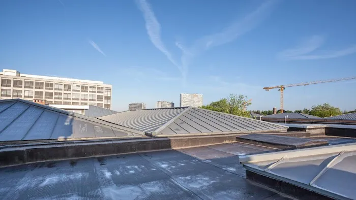 Terra Roofing Squad Picture 4