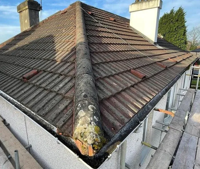 Terra Roofing Squad Picture 10
