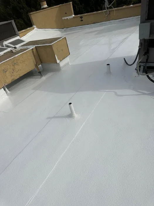 DuraRoof Solutions Picture 9