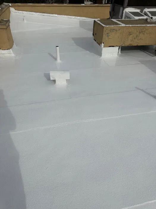 DuraRoof Solutions Picture 8