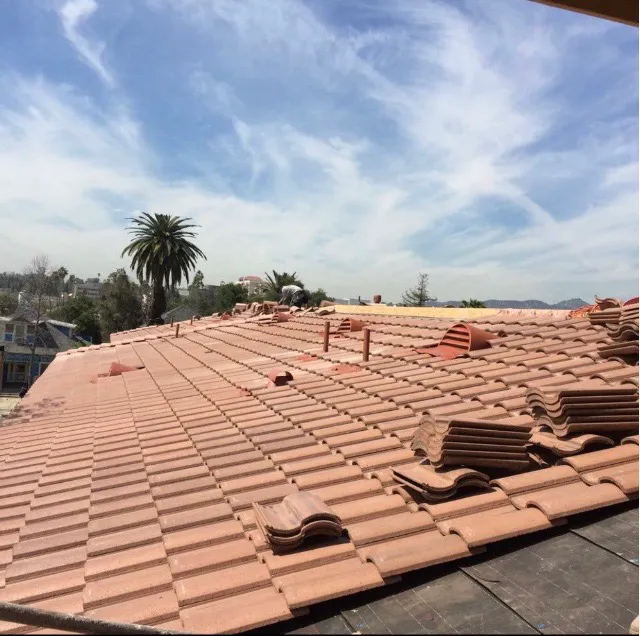 SMD ECO ROOFING Picture 2