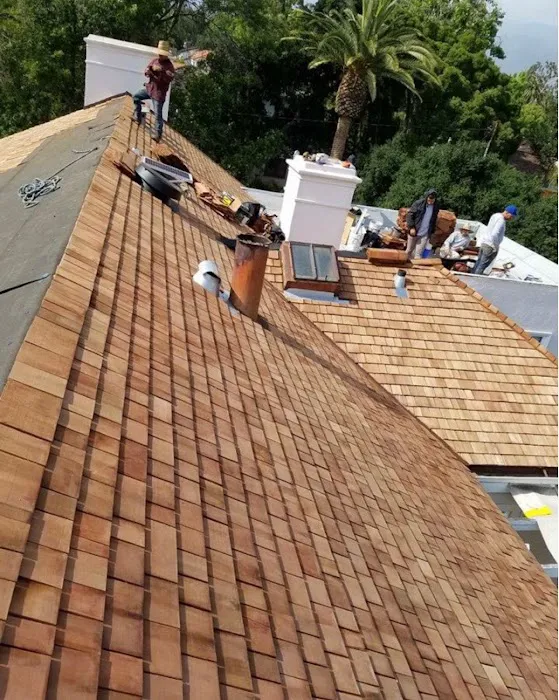 SMD ECO ROOFING Picture 1