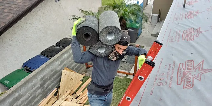 Semilla De Mostaza Roofing Picture 4