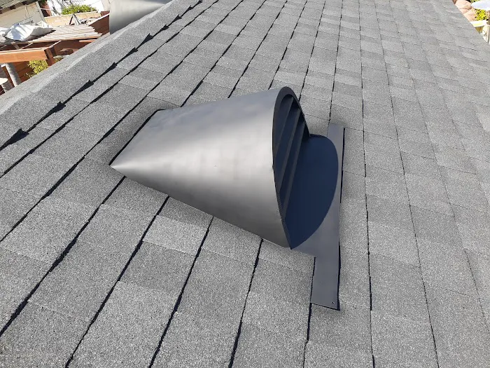 Semilla De Mostaza Roofing Picture 5