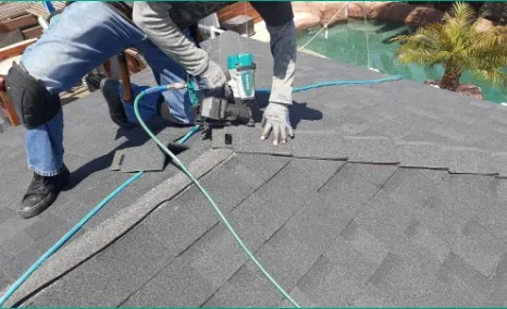 Semilla De Mostaza Roofing Picture 3