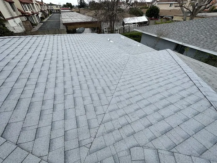 Semilla De Mostaza Roofing Picture 2