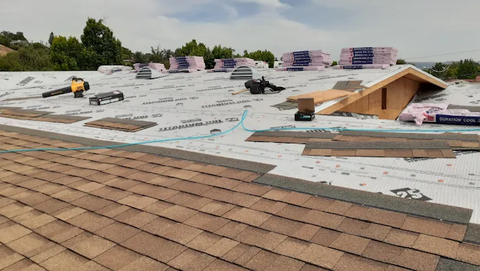 Semilla De Mostaza Roofing Picture 8