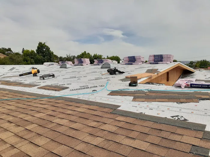 Semilla De Mostaza Roofing Picture 9