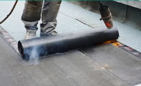 Semilla De Mostaza Roofing Picture 6